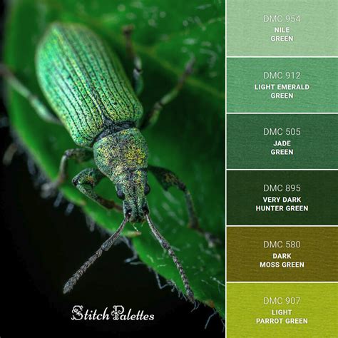 Blister Beetle - Embroidery Color Palette (With Thread Codes)