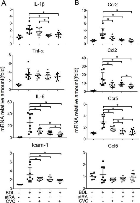 The Treatment Of Cvc Or Atra Alone Or In Combination Reduced Hepatic