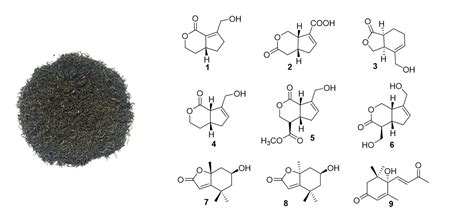 Chemical Constituents From Staminate Flowers Of Eucommia Ulmoides