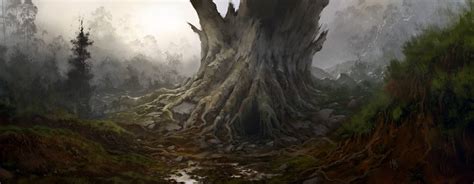 Tree Trunk by CanadianMark on DeviantArt