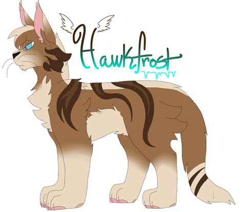 hawkfrost by R3dfoxin on DeviantArt