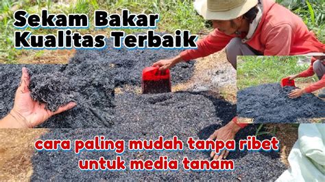 CARA MEMBUAT SEKAM BAKAR BERKUALITAS TINGGI CARA MEMBUAT ARANG SEKAM