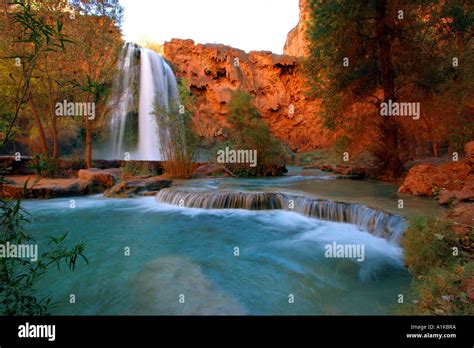 havasu falls, grand canyon Stock Photo - Alamy