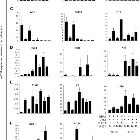 Differentiative Potential Of Defined Adult Thymic Epithelial Cell