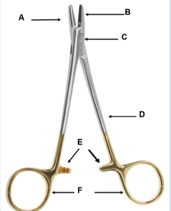 Instrument Identification Flashcards Quizlet