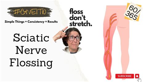 Sciatic Nerve Flossing Youtube