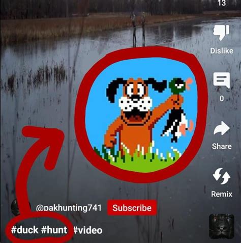 Duck Hunt : r/namesoundalikes