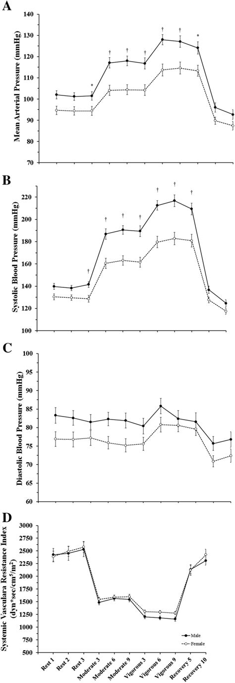 Sex Differences In The Systemic Hemodynamic Response To Constant Load