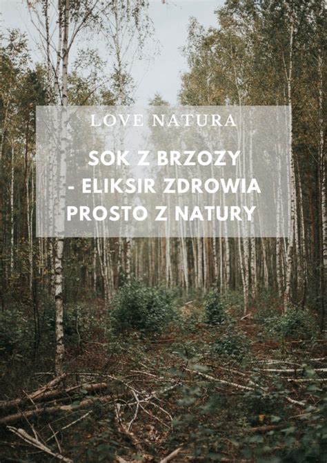 Sok Z Brzozy Eliksir Zdrowia Prosto Z Natury Love Natura Kochamy