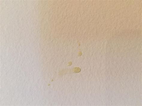 What Causes Yellow Stain On Ceiling | Americanwarmoms.org