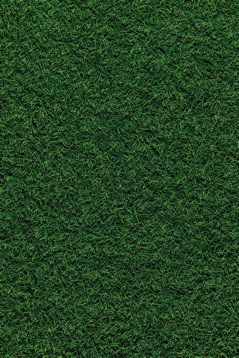 Water Conservation in Suburbs | Parkway without Grass