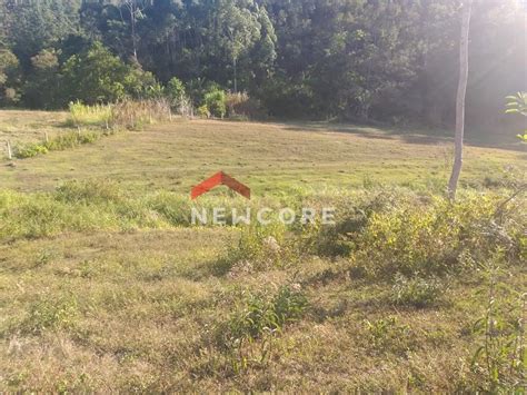 Lote Terreno 63000 m² em Moura em Canelinha por R 658 820 Viva Real