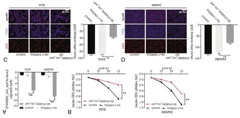 Overexpression Of Hsa Circ Inhibits The Viability And