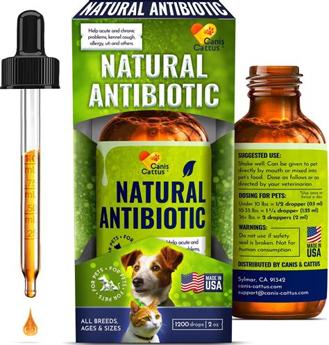 Amazon.com: caqorzo Natural Antibiotics for Dogs, Dog Antibiotics