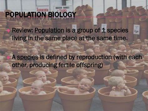 PPT - Population Biology PowerPoint Presentation, free download - ID ...