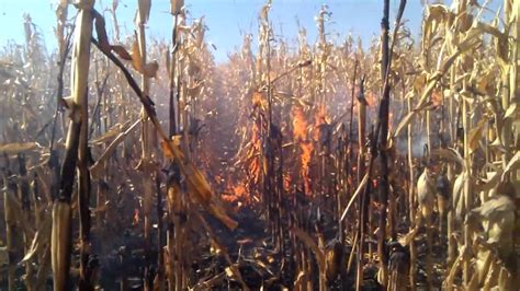 Corn Field Fire South Of Meadow Grove Nebraska Youtube