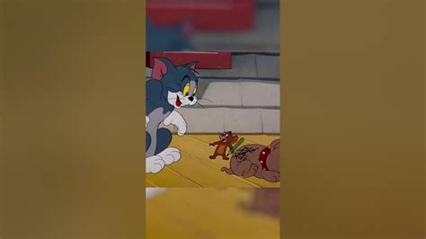 Tom And Jerry Funny Scences Part 39😂 Short Funnycartoon Tomandjerry