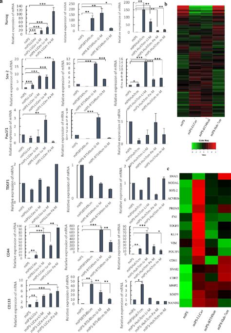 Gene Expression Analyses Of Parental And Primary Cells From Metastases