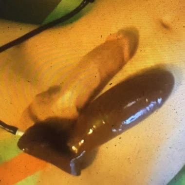 Evilangel Monster BBC For Anna De Villes Ass Free Porn XHamster