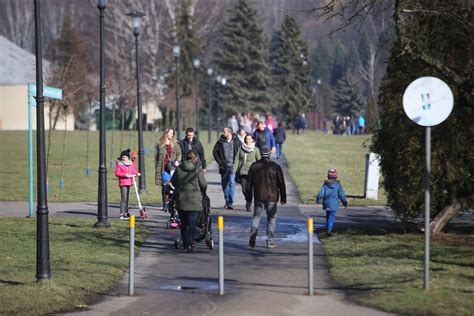 Niedzielny Spacer W Parku L Skim Zdj Cia Przyroda Budzi Si Z Zimowego