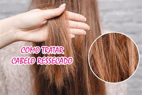 Como Tratar Cabelo Ressecado Cuidados E Vaidades Cabelos Produtos