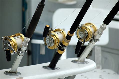How To Choose A Fishing Rod - Guide For Beginners 