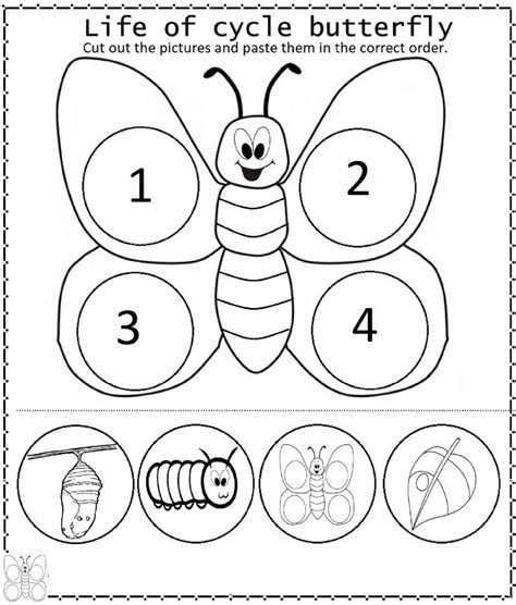 The Very Hungry Caterpillar Online Worksheet For Infantil You Can Do