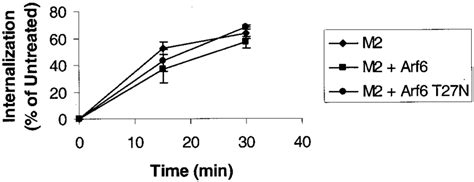 Neither Wild Type Arf Nor Gtp Binding Defective Arf T N Inhibit M