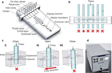 Design And Components Of The Microfluidic Chip A Working State Of The