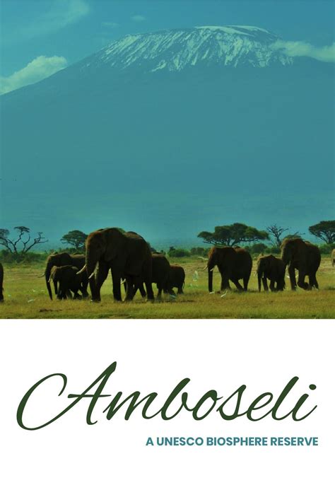 AMBOSELI, A UNESCO BIOSPHERE RESERVE In 1974 Amboseli National Park was established and in 1991 ...