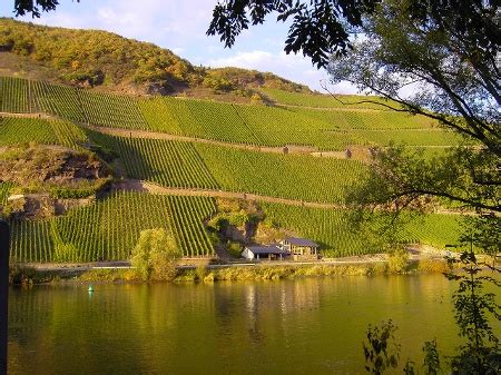 Mosel Radweg Etappe Von Bernkastel Kues Bis Traben Trarbach Tour