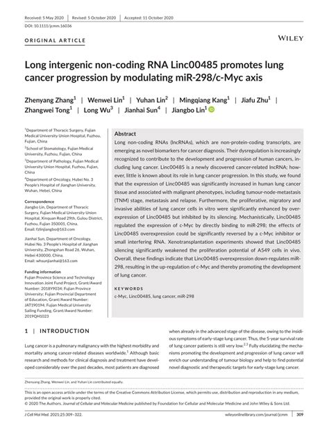 Pdf Long Intergenic Noncoding Rna Linc Promotes Lung Cancer