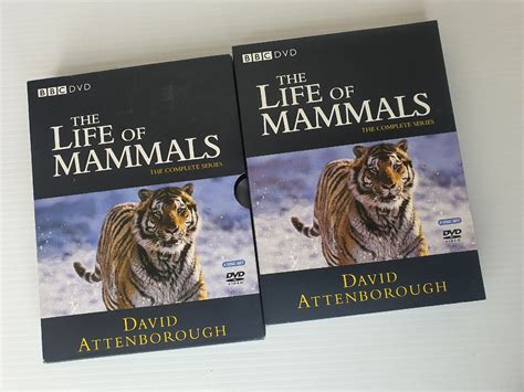 The Life Of Mammals Complete Series Dvd Bbc David Attenborough Discs