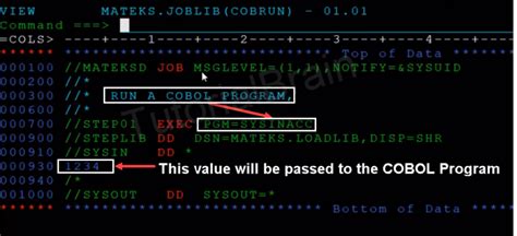 Cobol Accept Statement With Examples— Tutorialbrain