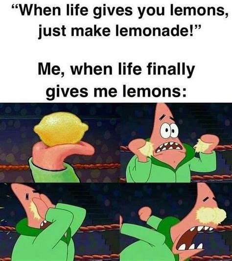 The Best Lemon Memes Memedroid