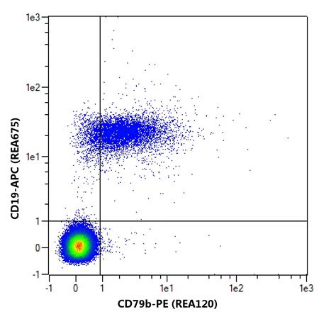 Cd79b Antibody Anti Human Reafinity™ Miltenyi Biotec Usa