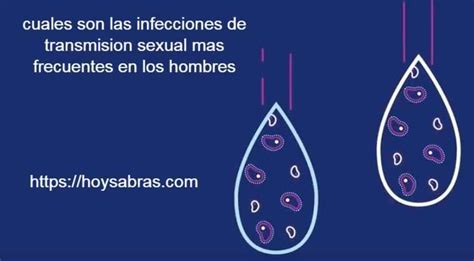 ¿cuáles Son Las Enfermedades De Transmisión Sexual Más Comunes En El