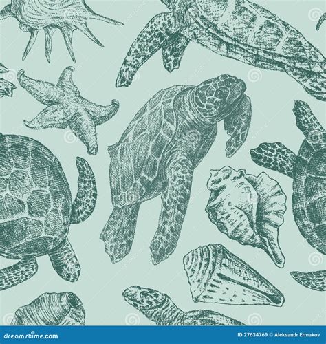 Achtergrond Met Overzeese Schildpadden Vector Illustratie