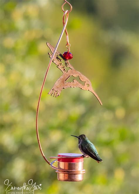 Single Feeder With Metal Hummingbird — Copper Hummingbird By Nancy Biggins