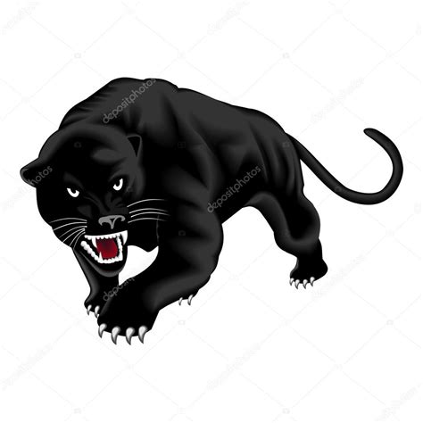 Black Panther Stock Vector Image By Kassim1964 63641123