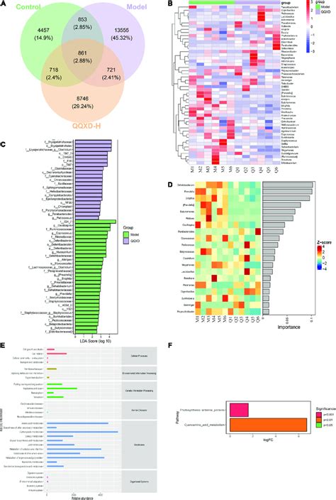 Analysis Of Differential Flora And Pathway Enrichment A Venn Diagram