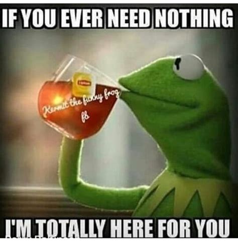 183 best images about Kermit Memes on Pinterest