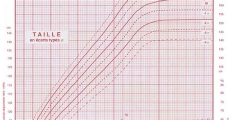 La Courbe De Croissance En Percentiles Quest Ce Que Cest Bébés