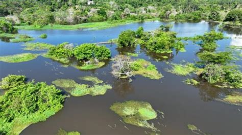 Amazonian River Manaus Amazonas Brazil Outdoors Stock Footage Video ...