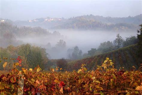 Barbaresco Private Wine Tour - Departure from Milan - by ITALY AND WINE