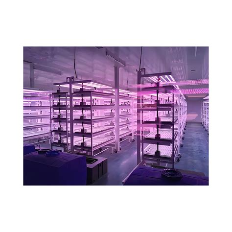 Hydroponic Greenhouse Vertical Farming Shipping Container Plant Factory