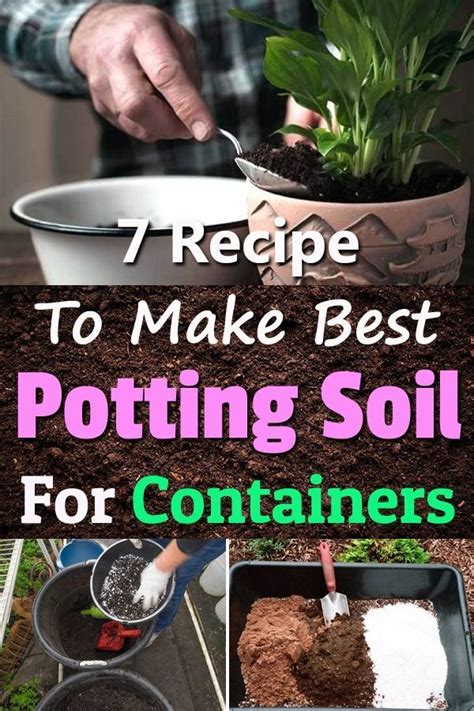 Best Potting Soil For Veggies Back Gardener