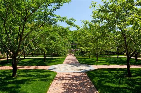 Dwarf Fruit Tree Orchard - Traditional - Landscape - New York - by The Todd Group