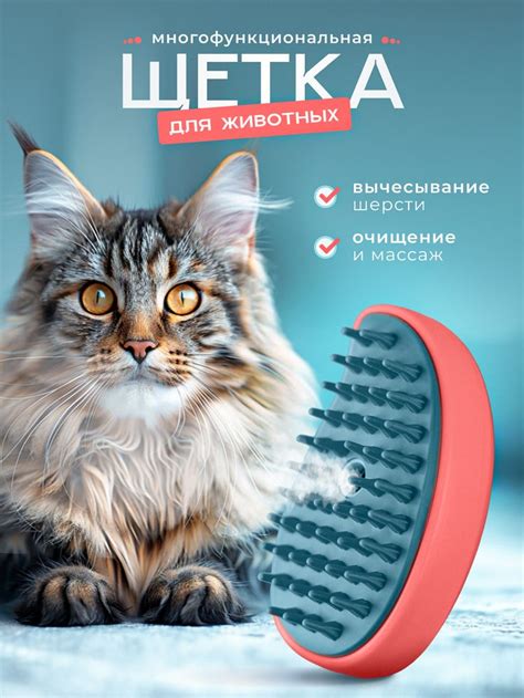Паровая щетка для животных инфографика in 2024 | Planet logo, Logo ...