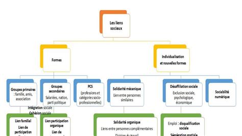 Comment Se Construisent Et Évoluent Les Liens Sociaux Carter